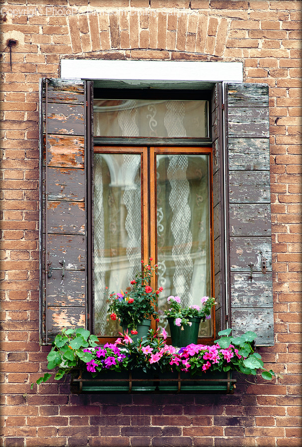 Home Decor, Window, Plant, Brick, Flower