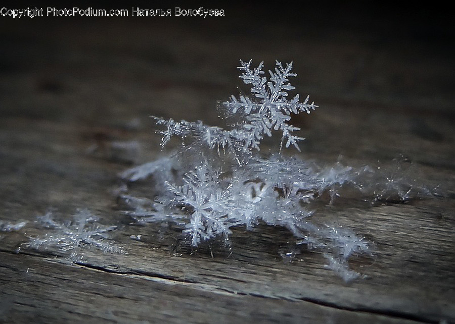 Snowflake, Outdoors, Ice, Nature, Crystal