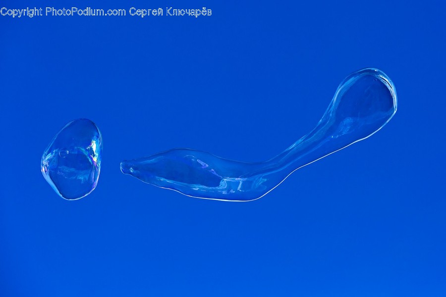 Bubble, Animal, Sea Life, Droplet