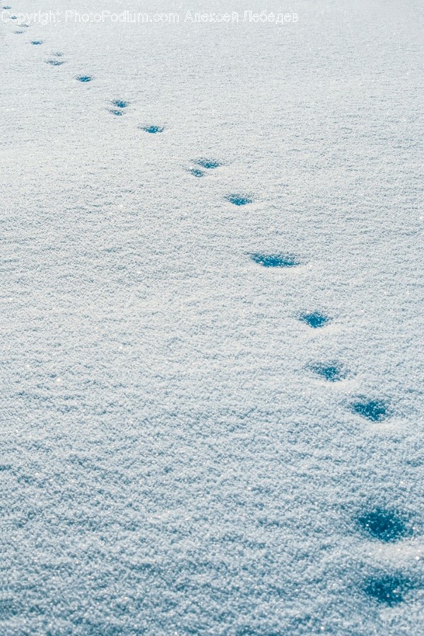 Rug, Footprint