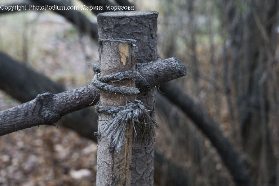 Cross, Symbol, Plant, Tree, Wood
