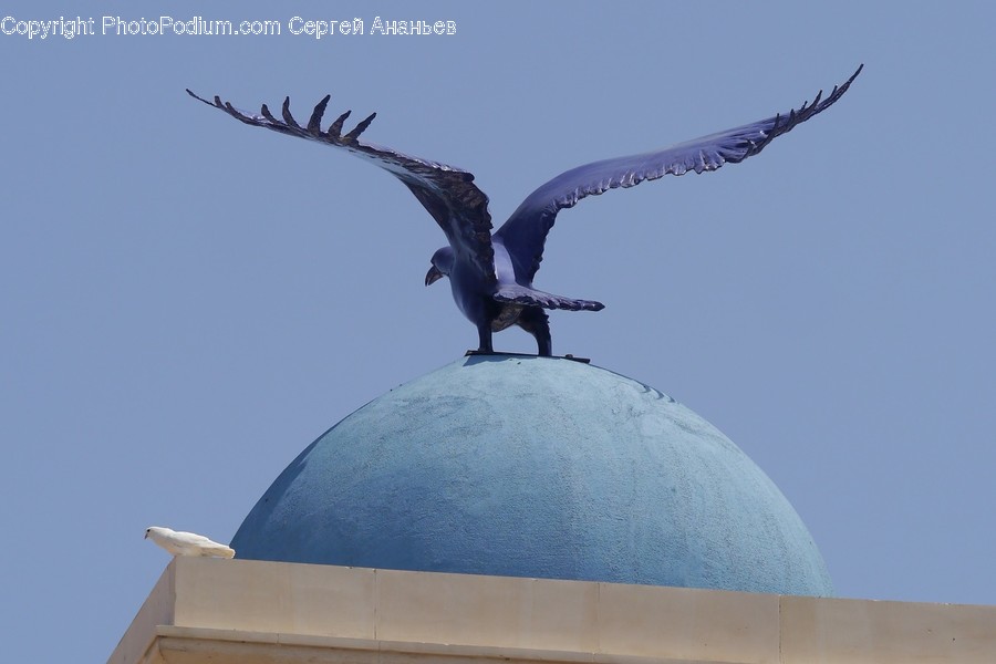 Architecture, Dome, Building, Animal, Bird