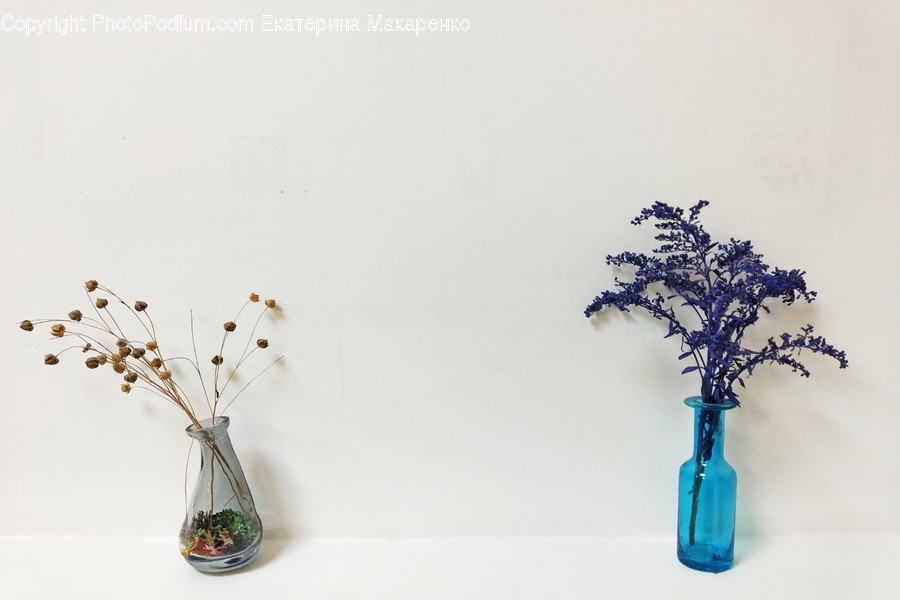 Plant, Jar, Vase, Pottery, Flower Arrangement