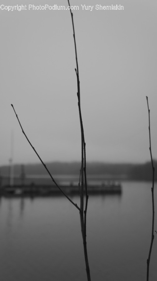 Nature, Water, Waterfront, Fog, Outdoors