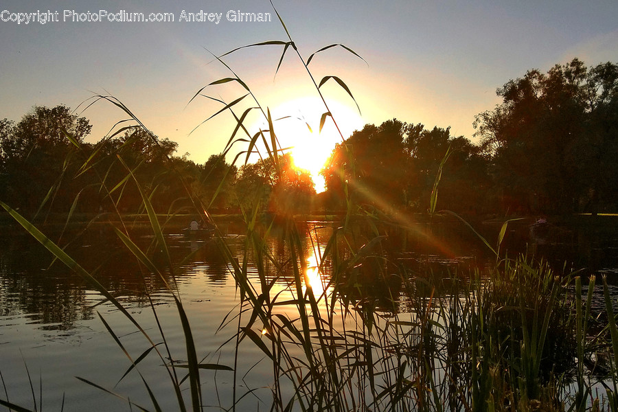 Light, Flare, Outdoors, Sunlight, Nature