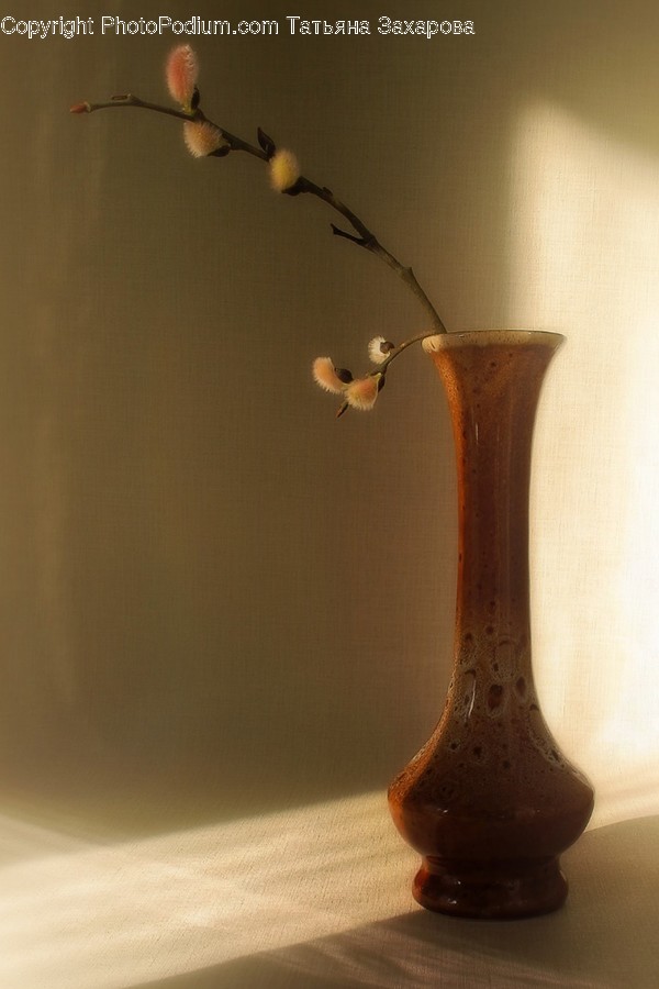 Jar, Pottery, Vase, Flower, Plant