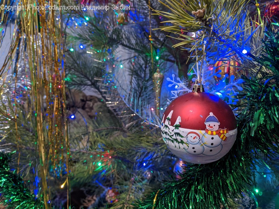 Ornament, Christmas Tree, Tree, Plant, Lighting