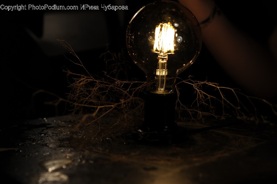 Light, Lamp, Lightbulb, Person, Human