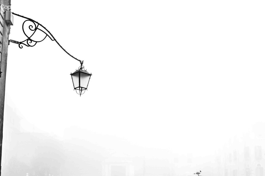 Lamp Post, Lamp, Lantern, Lampshade, Bird