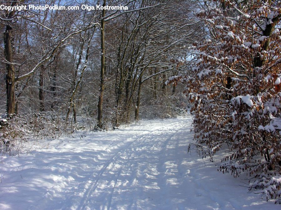 Ice, Outdoors, Snow, Landscape, Nature, Scenery, Dirt Road