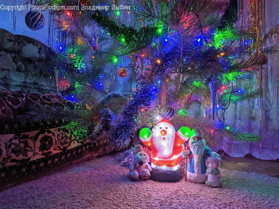 Lighting, Tree, Plant, Ornament, Christmas Tree