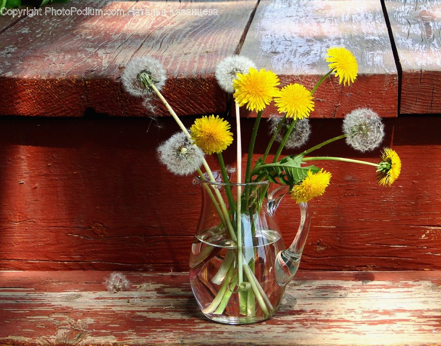 Plant, Blossom, Flower, Flower Arrangement, Flower Bouquet