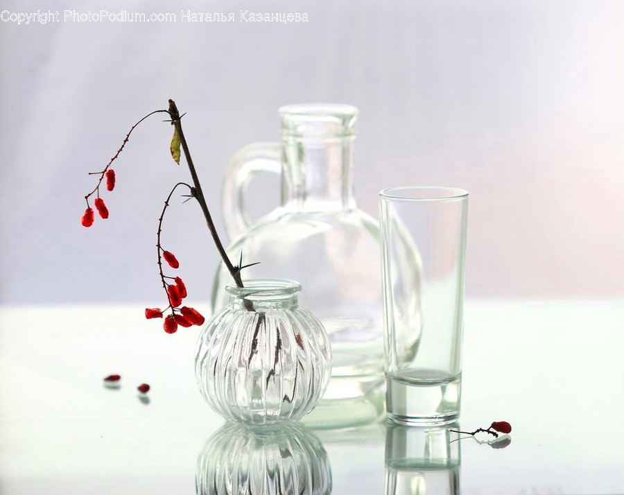 Vase, Jar, Pottery, Glass, Plant