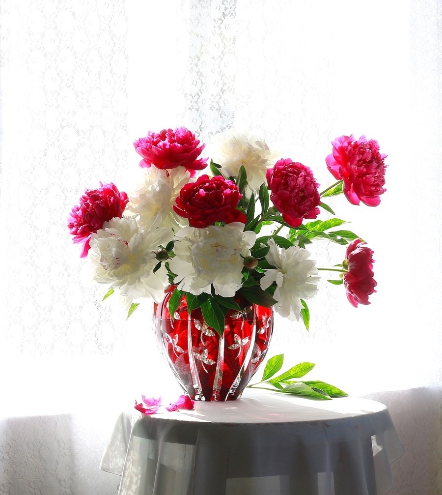 Plant, Flower, Blossom, Flower Arrangement, Flower Bouquet