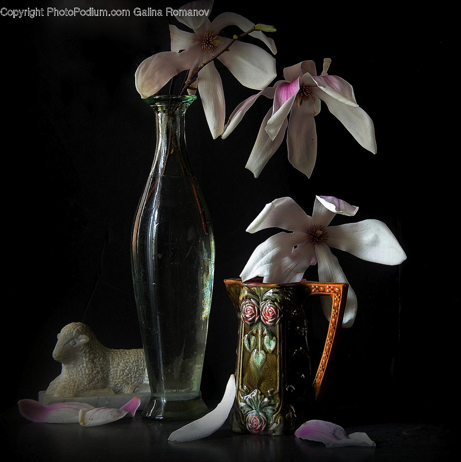 Plant, Blossom, Flower, Flower Arrangement, Ornament