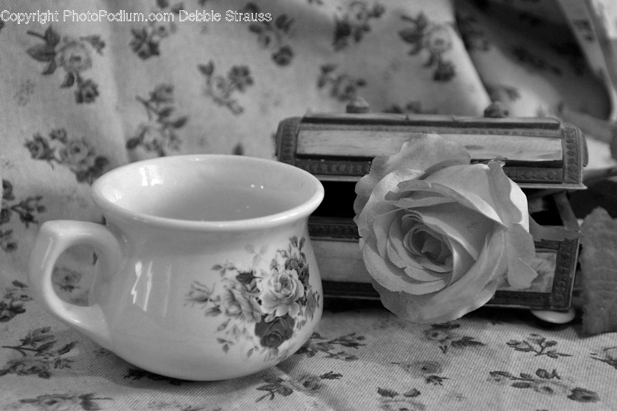 Blossom, Rose, Flower, Plant, Cup