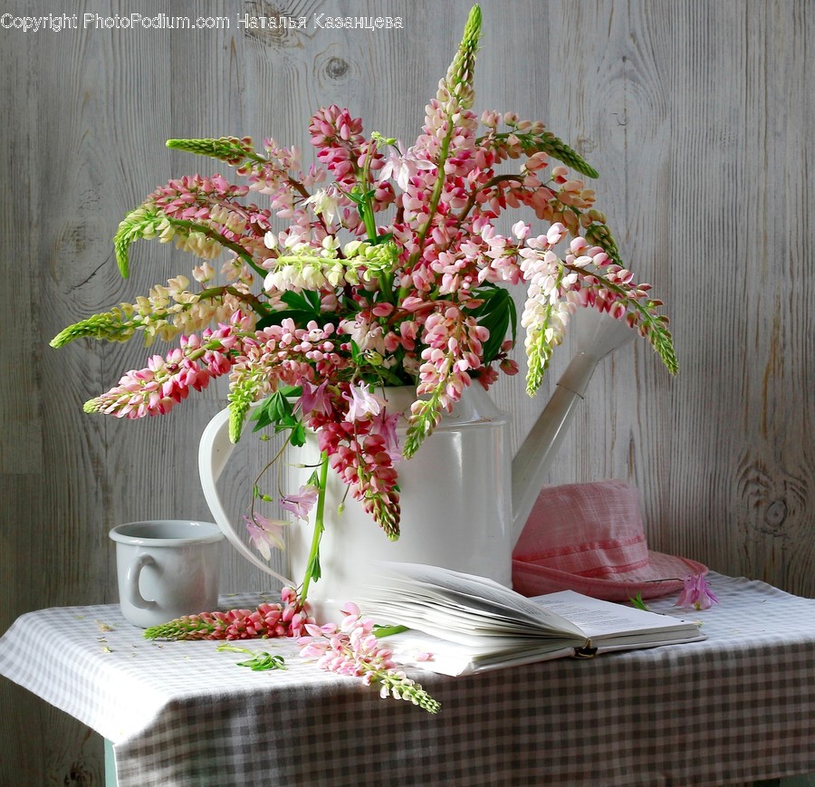 Plant, Flower, Flower Arrangement, Blossom, Flower Bouquet