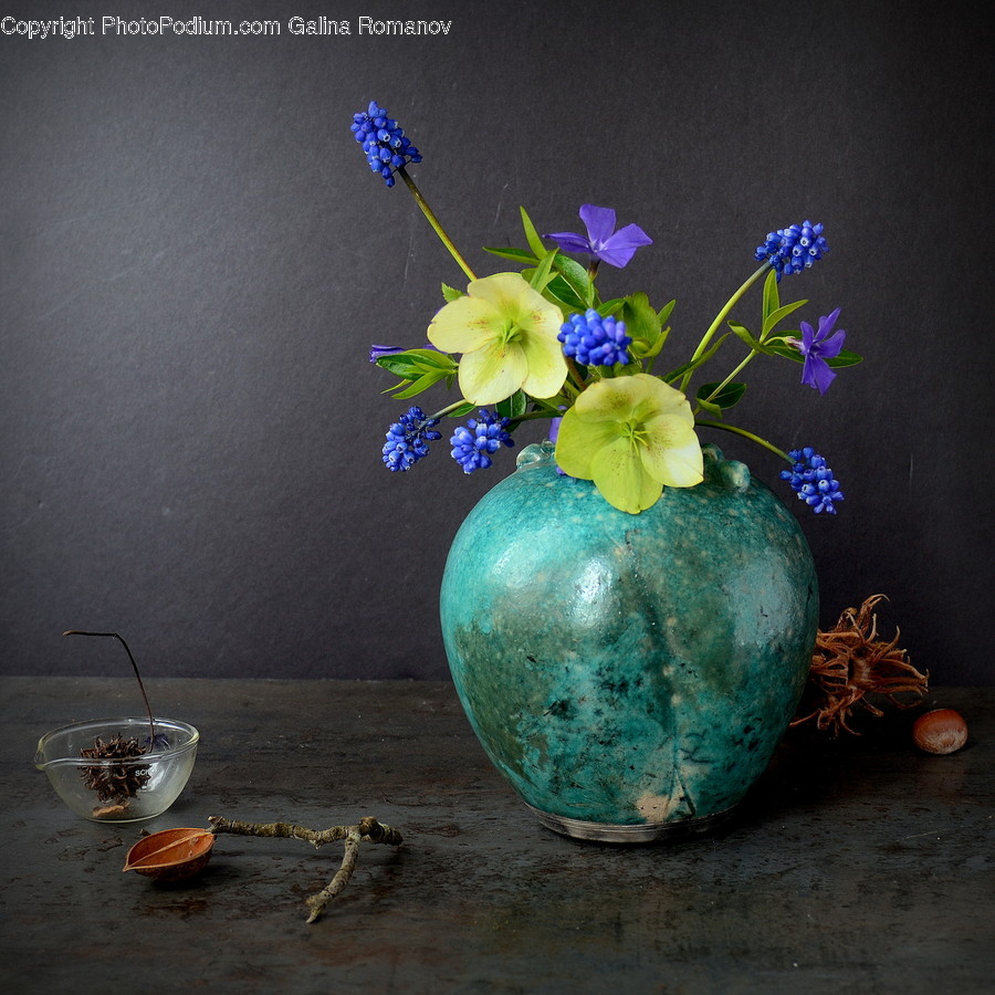 Art, Flower Arrangement, Ikebana, Vase, Plant