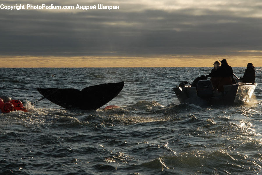 People, Person, Human, Boat, Watercraft, Ocean, Outdoors