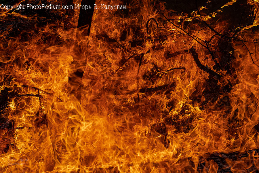 Fire, Flame, Bonfire, Forest Fire