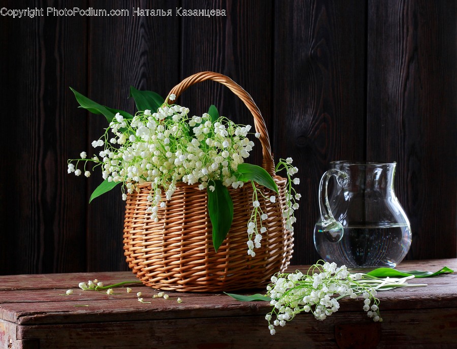 Basket, Plant, Flower, Blossom, Glass