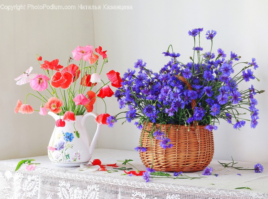 Plant, Blossom, Flower, Flower Arrangement, Pottery