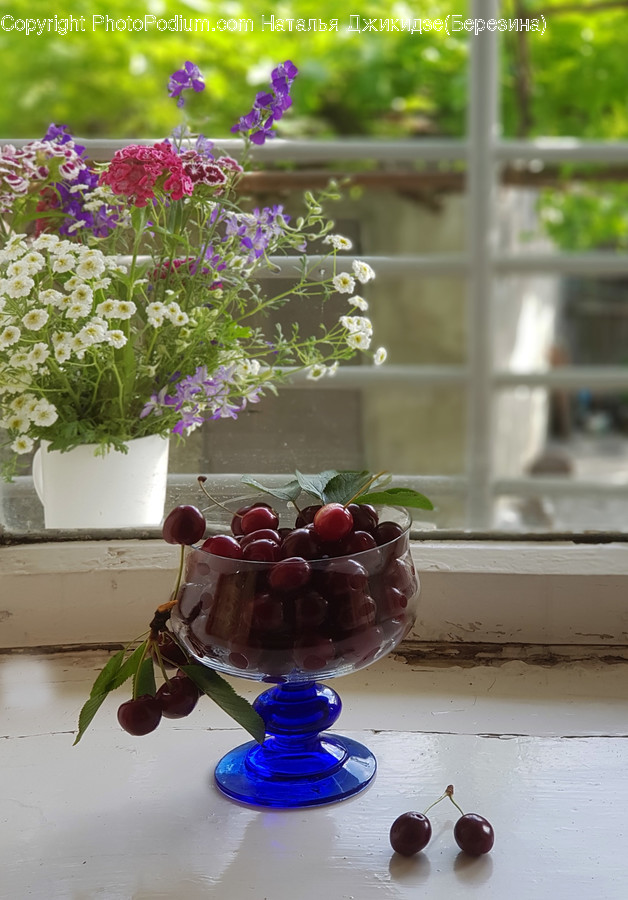 Plant, Glass, Goblet, Fruit, Food