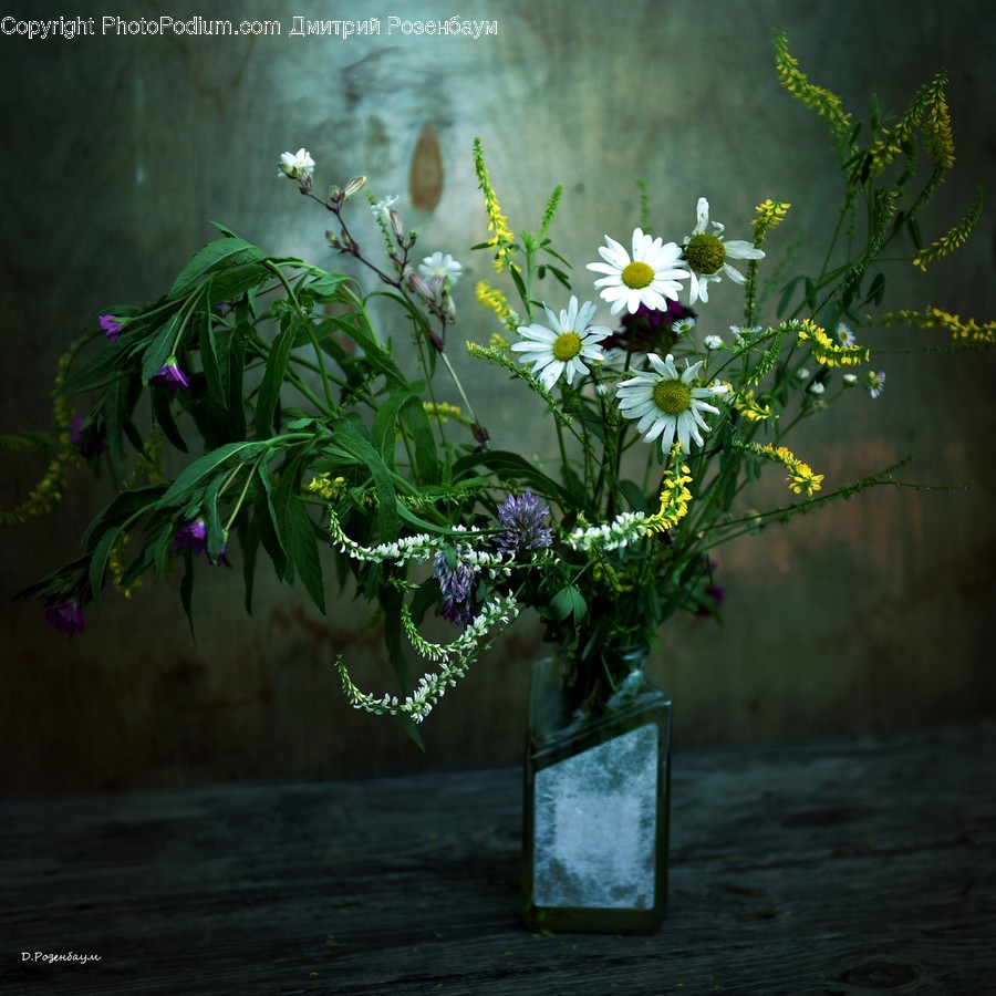 Flower, Flower Arrangement, Ikebana, Plant, Ornament