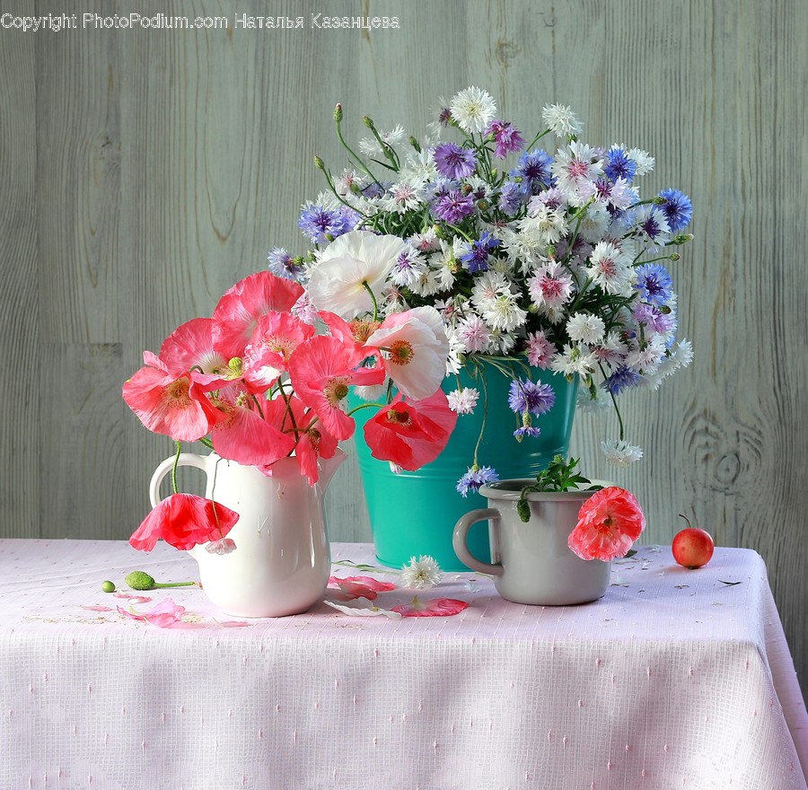 Plant, Blossom, Flower, Flower Arrangement, Flower Bouquet