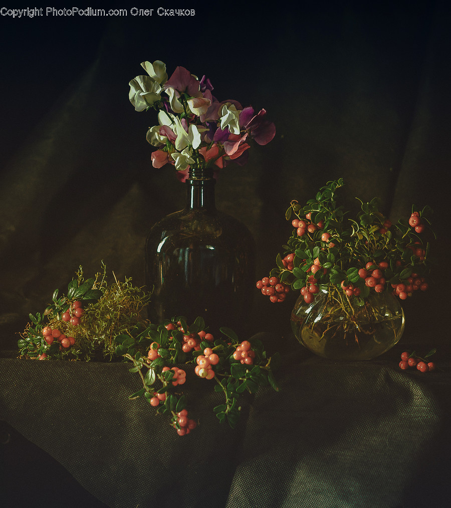 Pottery, Art, Plant, Jar, Flower Arrangement