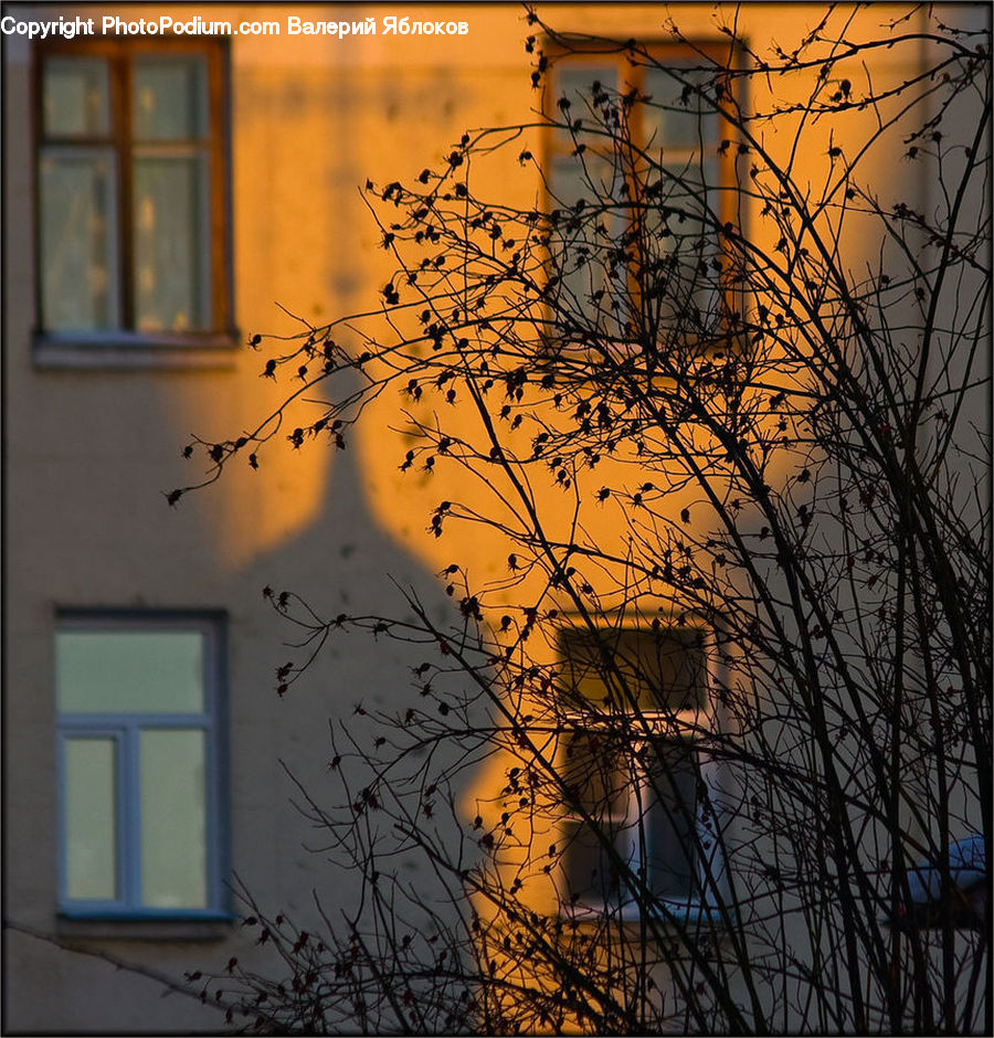 Fence, Wall, Dusk, Outdoors, Sky, Sunlight, Sunrise