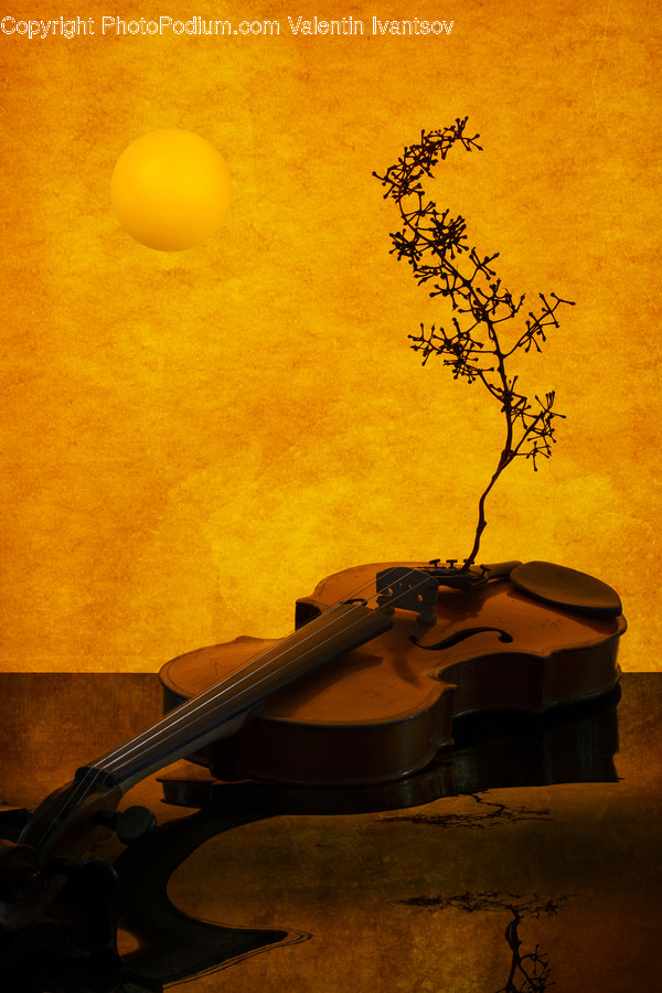 Leisure Activities, Violin, Musical Instrument, Fiddle, Viola