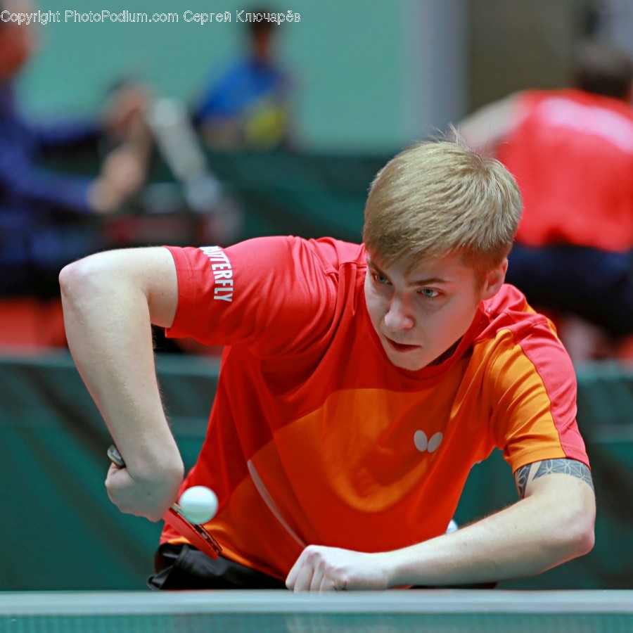 Sport, Person, Human, Ping Pong, Sports