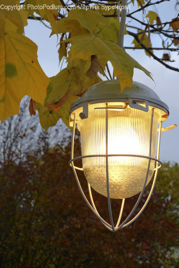 Lamp, Light Fixture, Lampshade, Lamp Post, Lantern