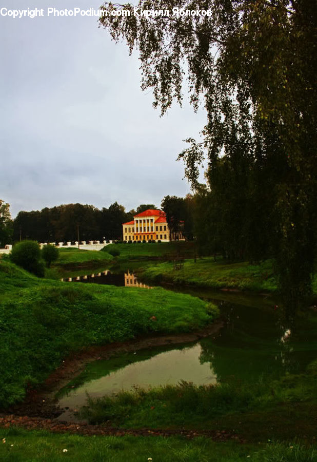 Field, Grass, Grassland, Plant, Building, Cottage, Housing