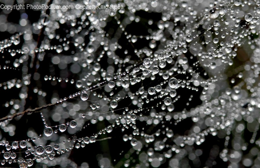 Droplet, Spider Web, Crystal