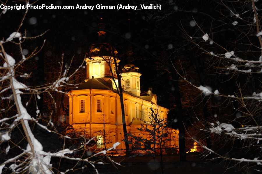 Cabin, Tree House, Architecture, Bell Tower, Clock Tower, Tower, Mansion