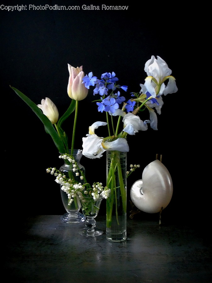 Plant, Ikebana, Flower, Vase, Flower Arrangement