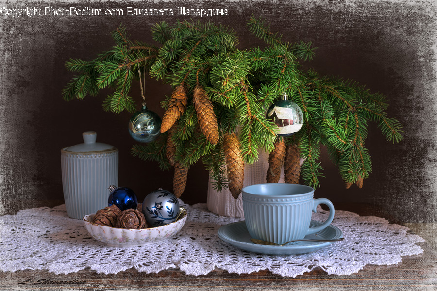 Saucer, Pottery, Plant, Cup, Coffee Cup