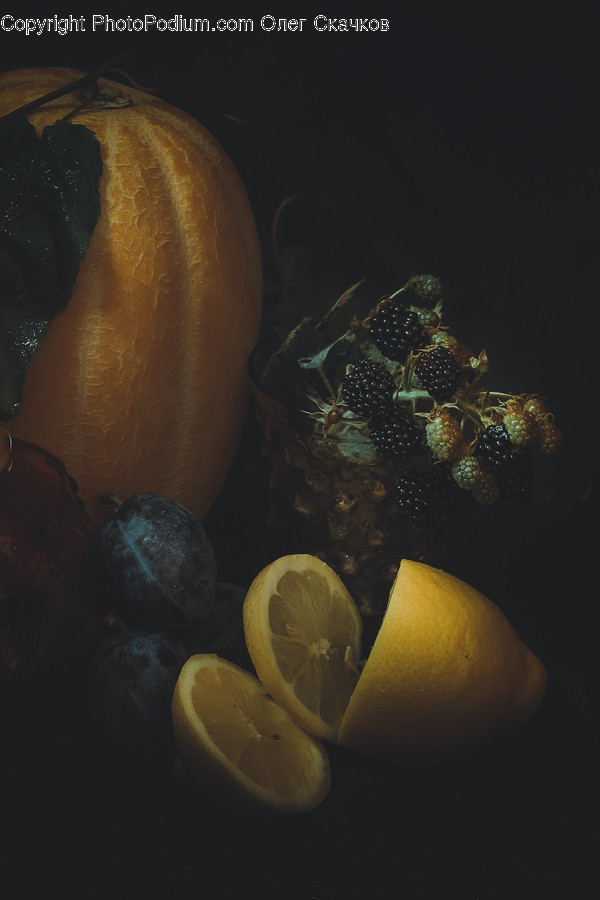Citrus Fruit, Plant, Fruit, Food, Sea Life
