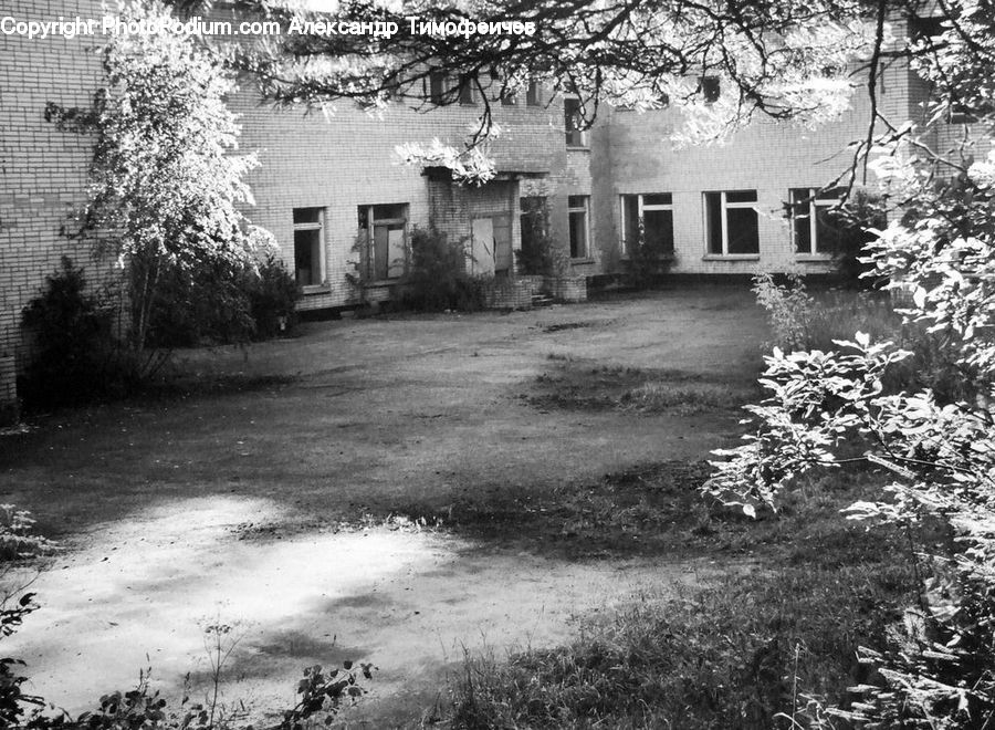 Building, Housing, Villa, Plant, Tree, Cottage, Fence