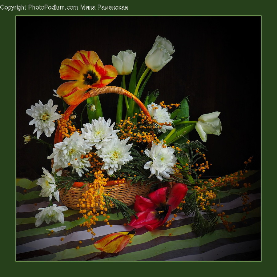 Plant, Flower Bouquet, Flower, Flower Arrangement, Blossom