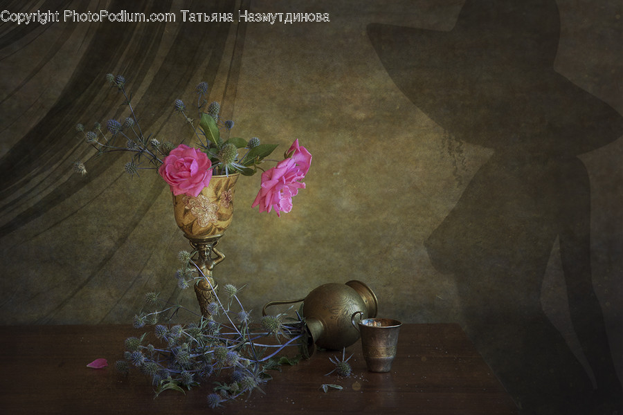 Plant, Rose, Flower, Blossom, Vase