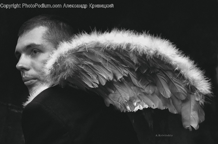 Art, Angel, Archangel, Bird, Animal