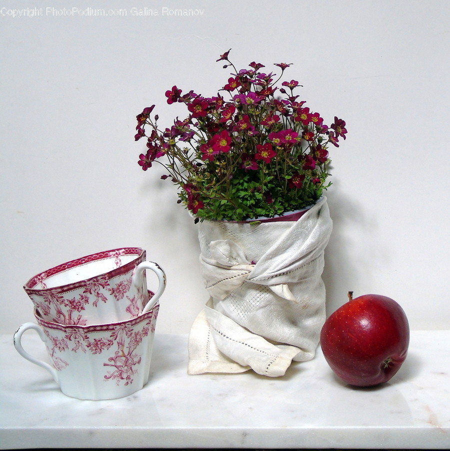 Plant, Pottery, Flower, Blossom, Flower Arrangement