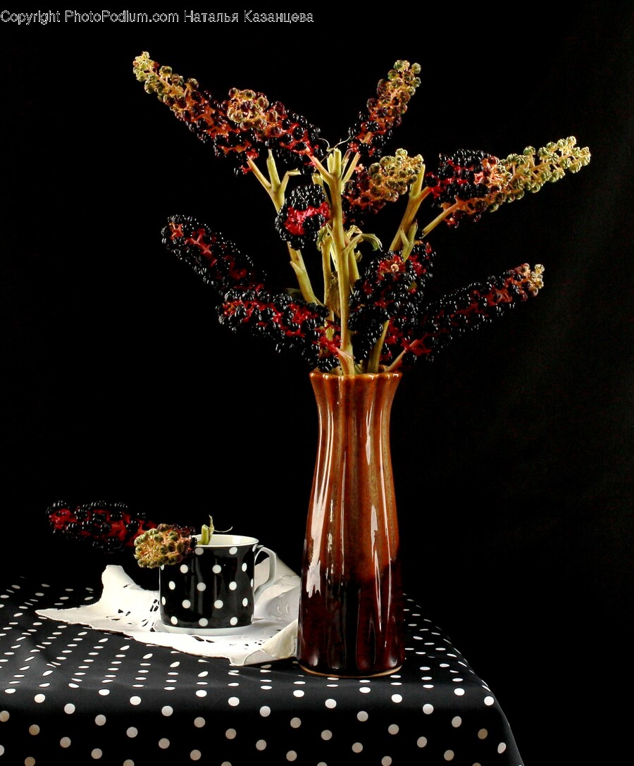Plant, Ikebana, Vase, Pottery, Flower