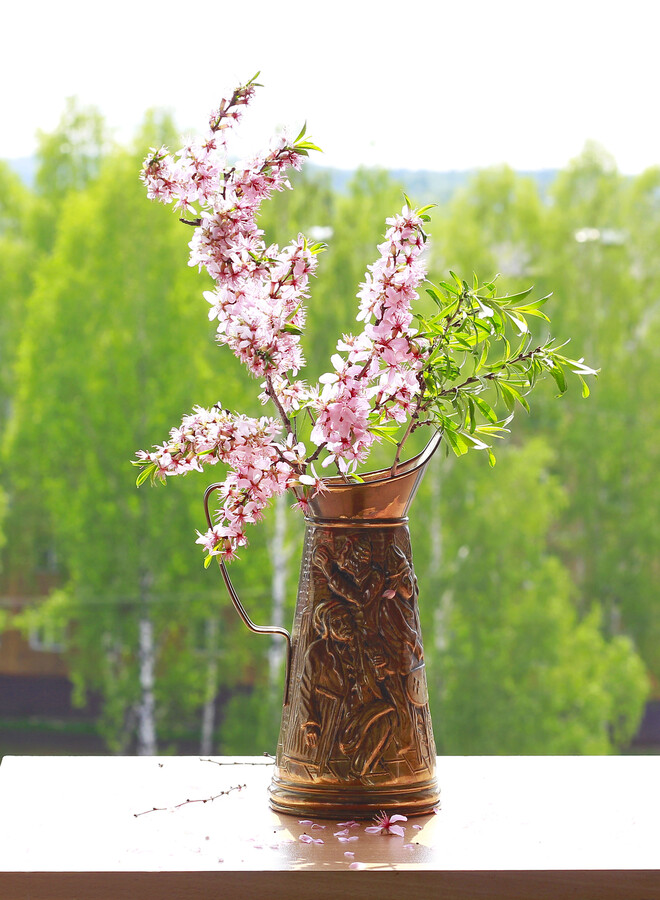 Plant, Ikebana, Vase, Jar, Flower