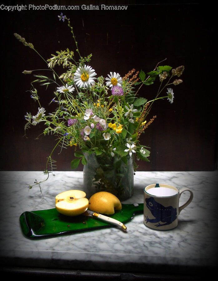 Plant, Flower Arrangement, Flower, Blossom, Coffee Cup