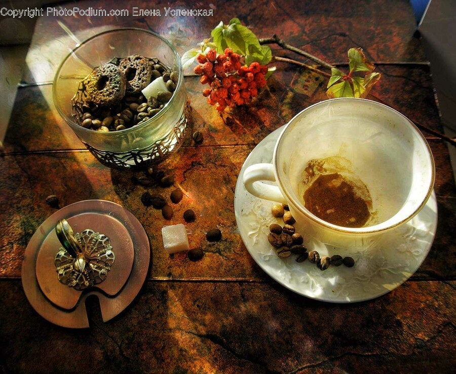 Saucer, Pottery, Coffee Cup, Cup, Plant
