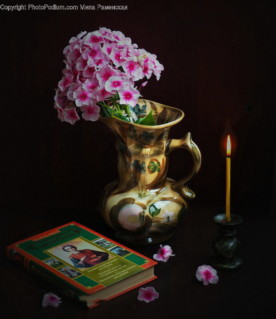 Candle, Plant, Flower, Blossom, Flower Arrangement